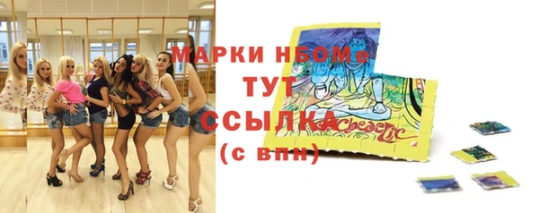 шишки Нязепетровск
