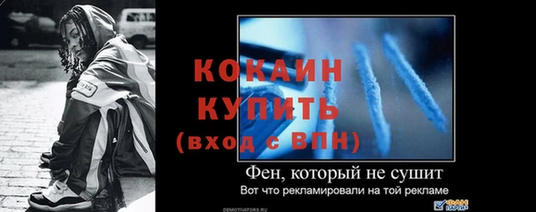 дмт Няндома