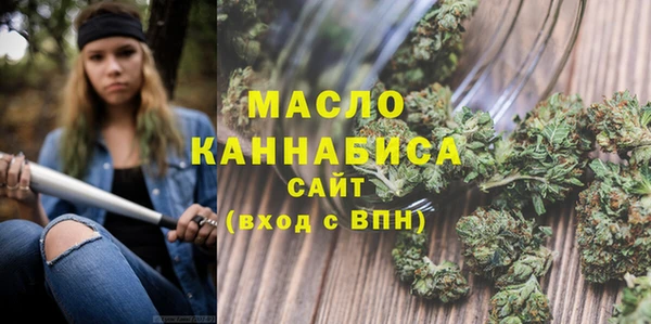 дмт Няндома