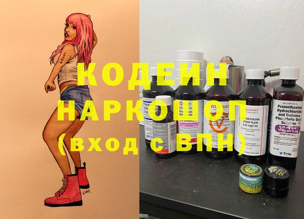 дмт Няндома
