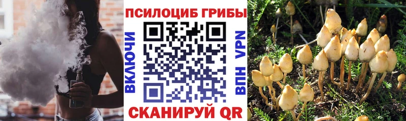 Псилоцибиновые грибы GOLDEN TEACHER  Калачинск 