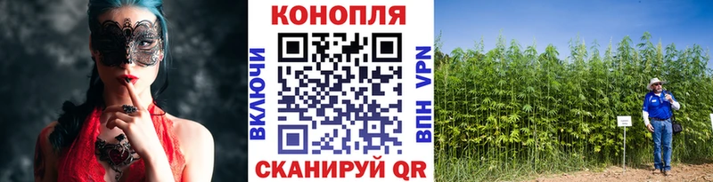 Шишки марихуана конопля где можно купить Калачинск